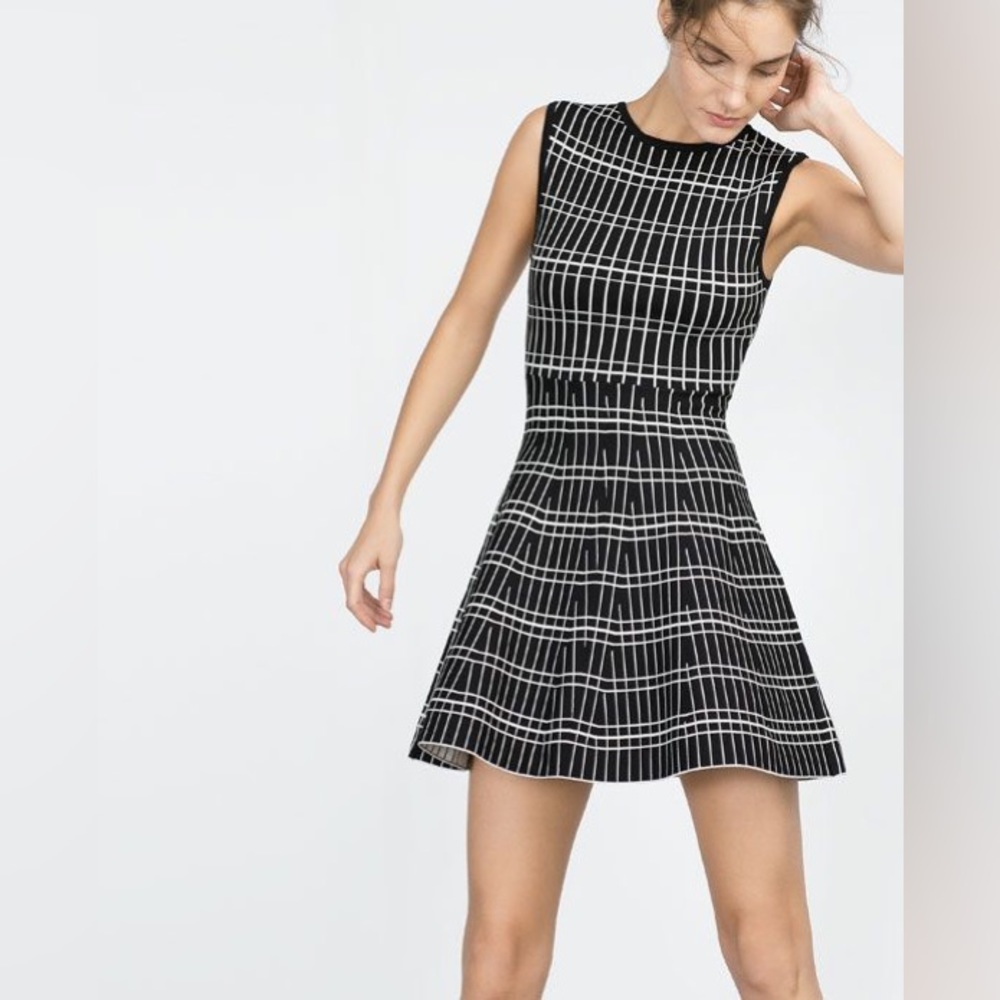Zara fit and flare dress XS